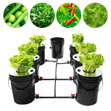7-Pot 20L Hydroponic DWC System