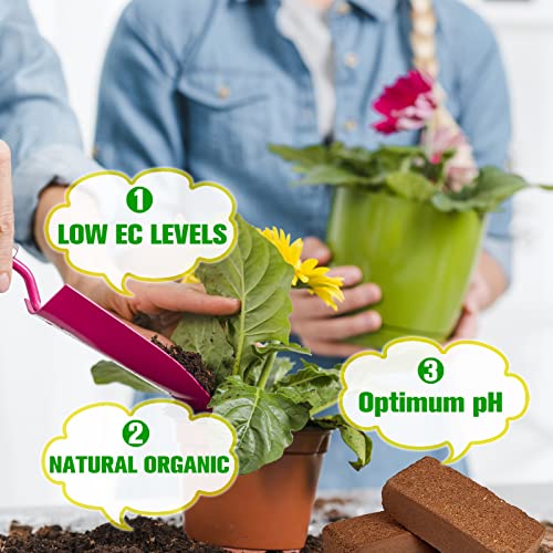 Organic Coco Coir Bricks for Hydroponic Plants