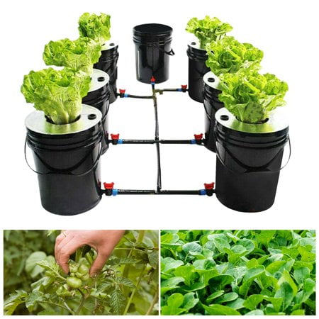 7-Pot 20L Hydroponic DWC System