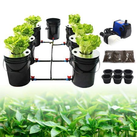 7-Pot 20L Hydroponic DWC System