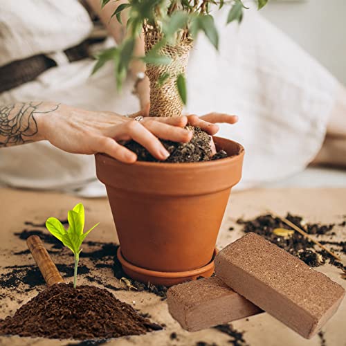 Organic Coco Coir Bricks for Hydroponic Plants