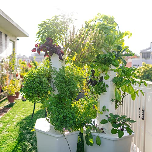 27-Plant Vertical Hydroponic Growing System for Outdoors