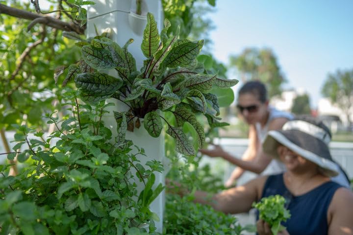 27-Plant Vertical Hydroponic Growing System for Outdoors