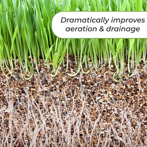 Organic Vermiculite-8 Dry Quarts Soil Additive