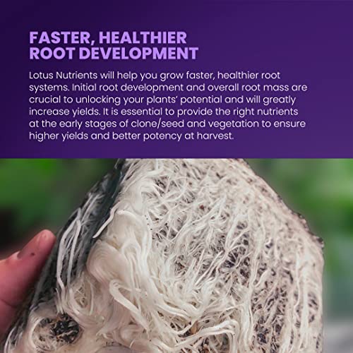 Lotus Nutrients Trio for Optimal Growth