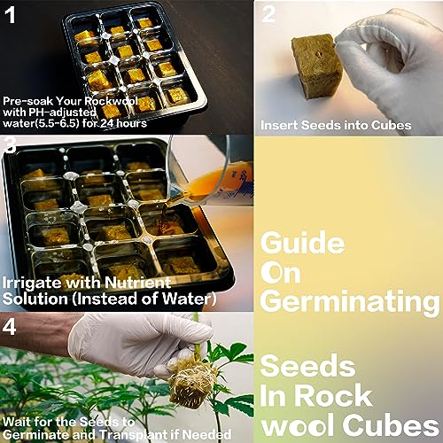 CastleGreens Rockwool Grow Cubes - 200 Plugs