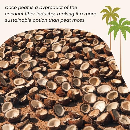 MagJo Coco Peat 11lb Block - Medium Grade