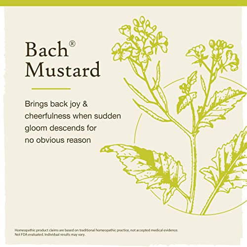 Flower Essence Mustard 20 ML by Bach Flower Essences