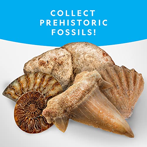 300+ Piece National Geographic Rock Collection for Kids