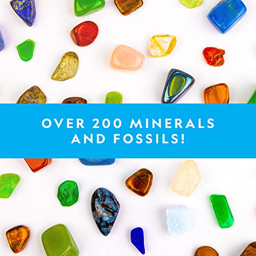 300+ Piece National Geographic Rock Collection for Kids