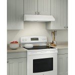 Broan Gletscher Series Black 30-Inch Range Hood