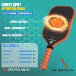 2025 USAPA Approved Carbon Fiber Pickleball Paddle
