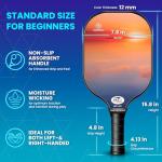 USAPA Approved Pickleball Paddle Set with Balls