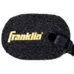 Franklin Sports Paddle Magic Carbon Fiber Cleaner
