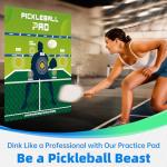 Pickleball Dink Master Training Plan with 2 Tools