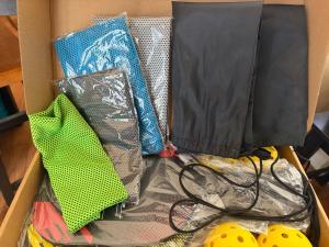 Premium Pickleball Set with 4 Paddles & Balls