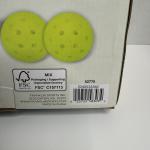 Franklin Poly Pro Pickleball Paddle and Ball Set