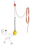 Adjustable Pickleball Swing Trainer with Pulley System