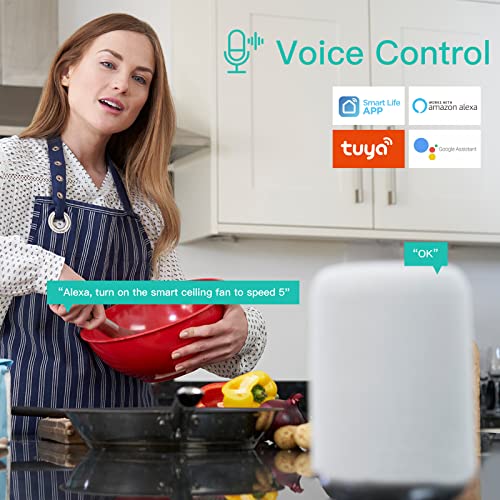 Smart 52" Ceiling Fan with Light & Remote