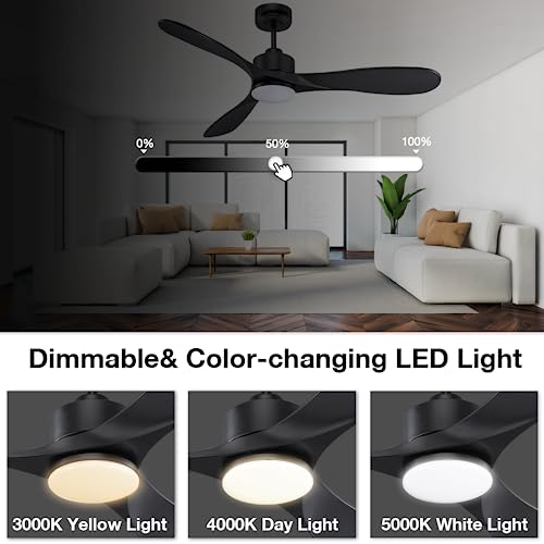 Smart Black Ceiling Fan with LED Lights & Remote