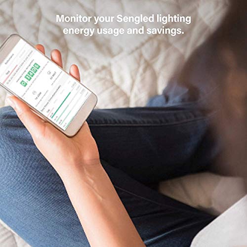 Sengled Z02 Smart Hub, Alexa & Google Compatible