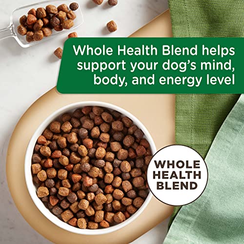 Rachael Ray Nutrish Dog Food - Chicken & Veggie