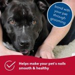 Coastal Pet Safari Diamond Nail File for Dogs