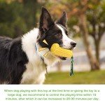 Tough Squeaky Dog Chew Toys for Aggressive Chewers