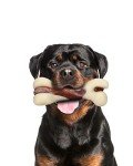 Durable Beef Flavor Dog Chew Toys for Aggressive Chewers