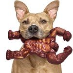Durable Dog Toys for Aggressive Chewers – Beef Flavor