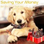 Indestructible Dog Chew Toys - 3 Pack Set