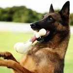 Durable Beef Flavor Dog Chew Toys for Aggressive Chewers