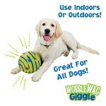 Wobble Wag Giggle Ball - Fun Interactive Dog Toy
