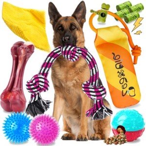 12-Pack Durable Dog Chew Toys for Aggressive Chewers