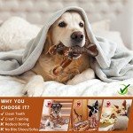 Tough Bacon Flavor Chew Toys for Aggressive Dogs