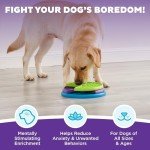 Outward Hound Lickin' Layers Dog Puzzle Feeder