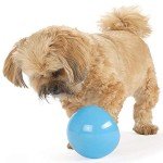Outward Hound Snoop Interactive Dog Toy - Large, Blue