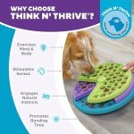Outward Hound Lickin' Layers Dog Puzzle Feeder