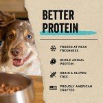 Essential Freeze-Dried Minnow Dog Treats, 1 oz