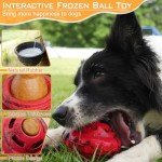 Interactive Dog Puzzle Toy With Frozen Treats