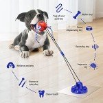 Durable Dog Toys for Aggressive Chewers