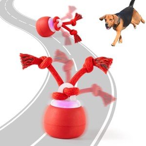 Interactive Rechargeable Squeaky Dog Ball Toy