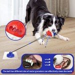 Durable Dog Toys for Aggressive Chewers