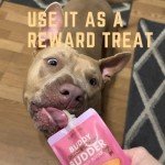 Buddy Budder Natural Peanut Butter Treats - 6 Pack