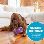 Outward Hound Double Snoop Interactive Dog Toy