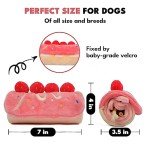 Interactive Dog Puzzle and Chew Toy Bundle