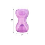 Outward Hound Double Snoop Interactive Dog Toy