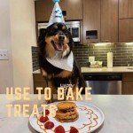 Buddy Budder Natural Peanut Butter Treats - 6 Pack