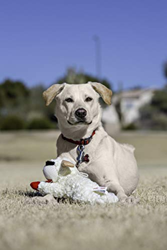 Multipet Plush Dog Toy, Lambchop, 10", White/Tan, Small