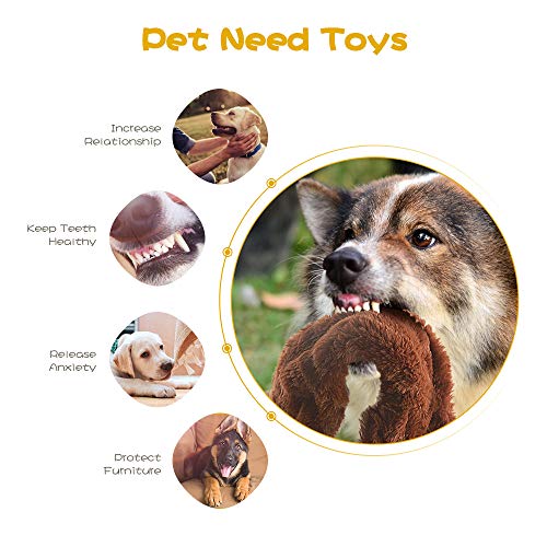 Dog Squeaky Toys, No Stuffing Plush Dogs Chew Toy for Small Medium Large Breed Chewers, 5 Pack Stuffless Squeak Cute Animal Tough Durable Puppy Teething Chewing Fabric Interactive Pet Birthday Gifts